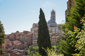 Fototapeta na wymiar Siena, Tuscany, Italy. View of the historic center of the city of Siena