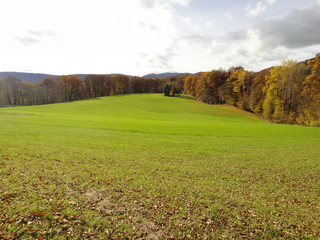Far view on a meadow