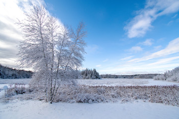 Winter scene at north of Montreal in Laurentides area