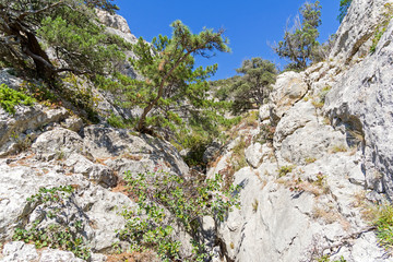 Riverbed pierced in the stone by rain and melt water. Crimean mountains.