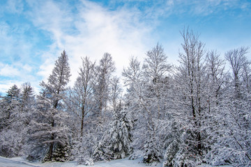Winter scene at north of Montreal in Laurentides area