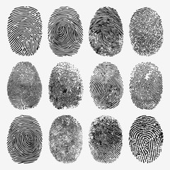 Fingerprint Vector Set - obrazy, fototapety, plakaty