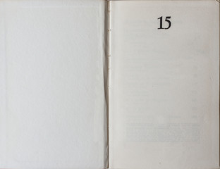 Book unfolded on the Endpaper, showing textured paper inside with the number fifteen.
