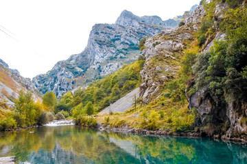 Fototapeta na wymiar A swamp towards the end Bear Path in Asturias...