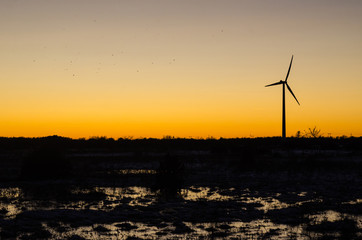 Obraz premium Sunset with wind turbine and flying birds