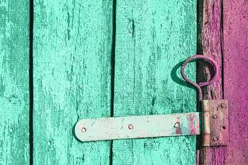 Green trendy pastel green biscay and neo mint and grape pink grunge wooden door with old rusted latch background texture with old cracked peeling off paint