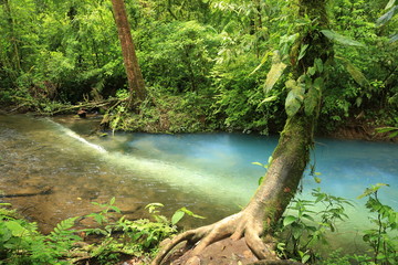 Rio Celeste Costa Rica