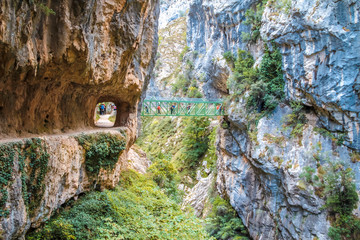 A bridge that crosses from wall to wall in the route of the cares. In the peaks of Europe