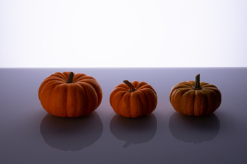 Three little pumpkins shiny bottom