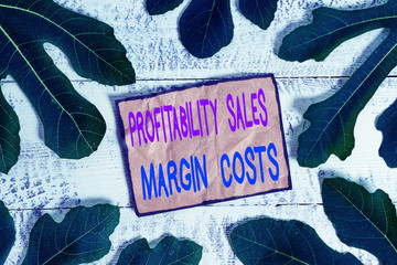 Writing note showing Profitability Sales Margin Costs. Business concept for Business incomes...