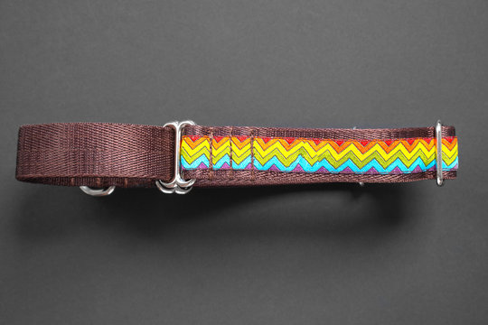  Top View  сolorful Dog Collar And Leash From Silky Tape, One Side Is Brown. Close Up, Black Background, Copy Space.