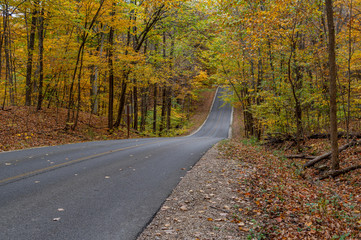 Obraz premium Fall Drive