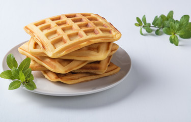 Homemade waffles with mint  in plate on white table