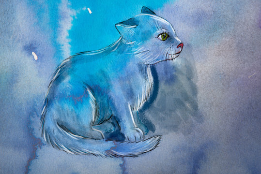 a watercolor picture of little cat on blue background