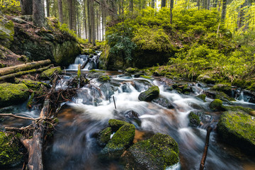 Calmly flowing river over the rocks, in Czech republic, in green forest at beggining of autumn
