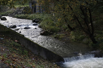 River during the melting