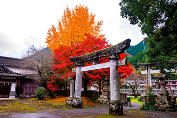 城井神社の紅葉