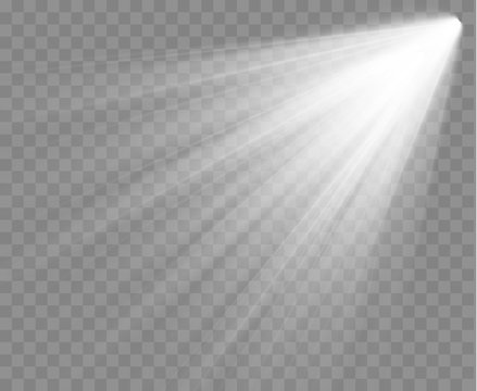 Spotlight isolated on transparent background. Vector sunlight with rays and beams. Vector glowing effect