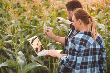 Agricultural engineers working in field
