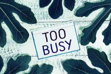 Text sign showing Too Busy. Business photo showcasing No time to relax no idle time for have so...