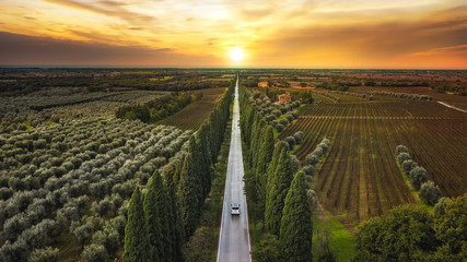 driving van on the scenic road