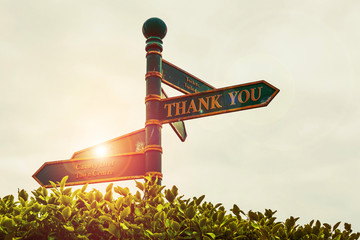 Text sign showing Thank You. Business photo showcasing replaying on something good or greetings with pleased way Green road sign on the crossroads with cloudy sky and green grass in the background