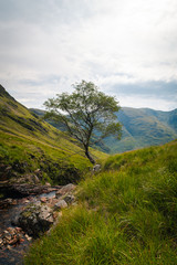 Panoramatic view on Scotland highland valley, during sunset with clouds, green yellow grass painting typical summer view with river in the middle