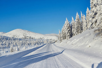 Winter road in the mountains surrounded by snowy larch