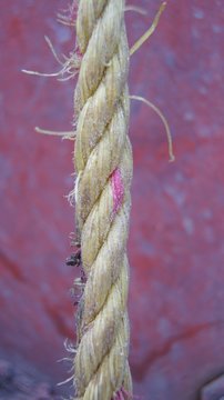 Rope