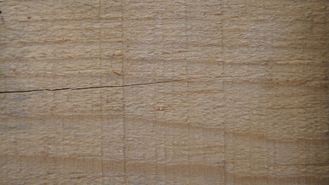 Plank