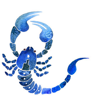 Scorpio, Astrology symbol Scorpio on white background