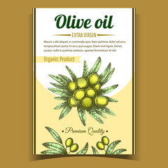 Olive Extra Virgin Organic Product Poster Vector. Agricultural Vegetable And Green Leaves on Center of Advertising Banner In Vintage Style. Gastronomy Dietary Oil Promo Template Color Illustration