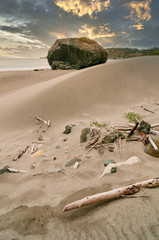 Beach scene with boulder, Oregon.