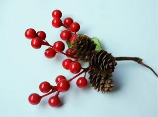 Foto op Plexiglas Hawthorn Sprig With Red Berries and Pine Cones © vali_111