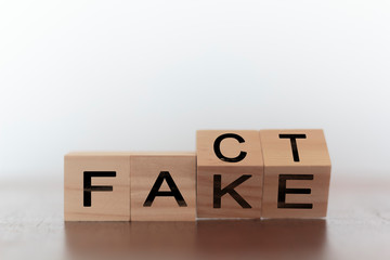 Fact and fake on words on wooden cubes
