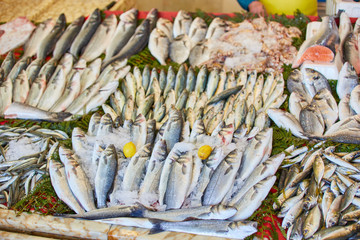 On the street fish market, fresh fish and seafood are sold.