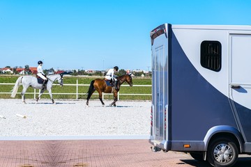 Horse sports .  Animal for riding . Horse in the background .