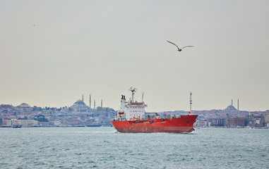 Fototapeta premium View to Istanbul and passenger ferry. River of the Bosphorus.
