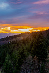 Golden Polish Autumn with over looking at Tatra Mountains Poland, October 2019