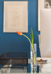 Blue walls in office with a tulip next to the computer