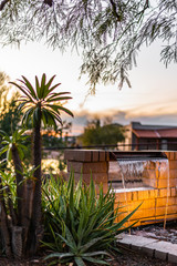 Arizona patio at sunset with palm trees and fountain