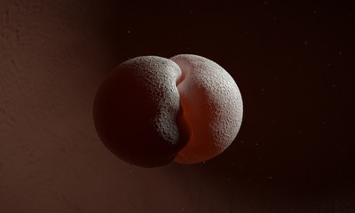 Visual representation of cell division.