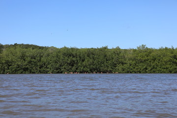 Laguna Guanaroca