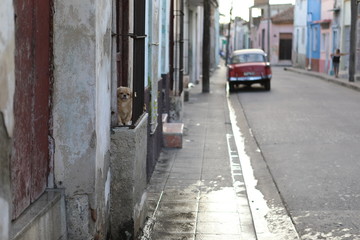 Kubas Straße mit Hund