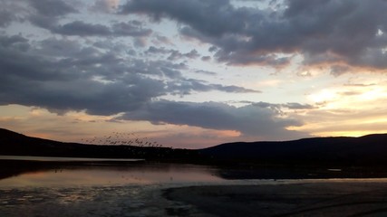  sunset in the lagoon and birds 2