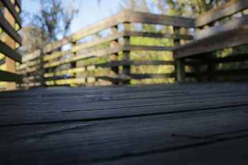 bench in the park