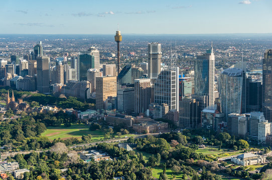 Fototapeta Sydney city cityscape aerial view landscape with office buildings and Domain