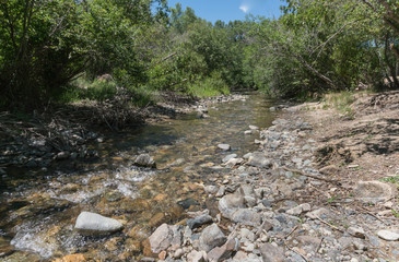 The Red River in New Mexico.