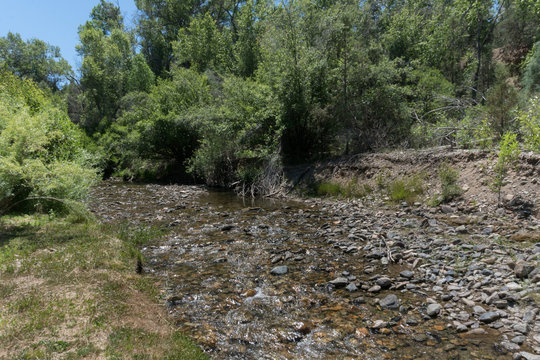 The Red River Flows In New Mexico.