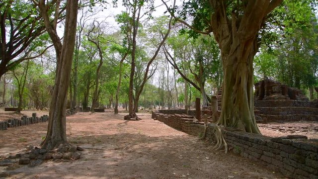 4K video of Chedi Ched Thaeo temple in Si Satchanalai historical park, Thailand.
